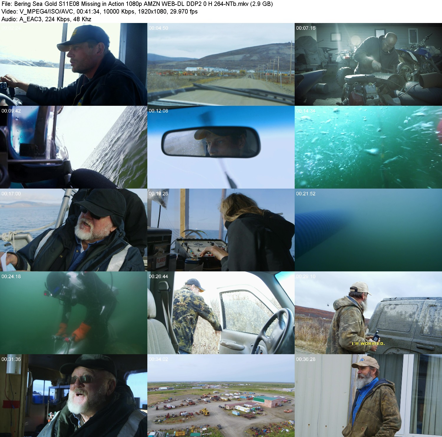 [Image: 85zkxv6bmz1e.jpg]