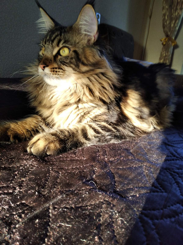 изображение_viber_2020-11-19_16-28-53