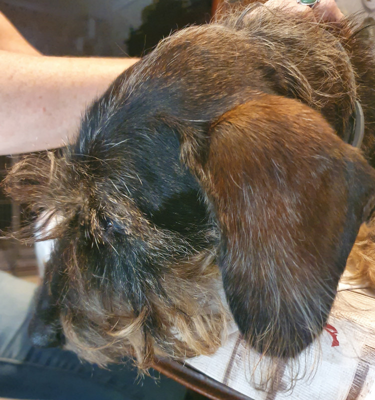 [Image: 20220615-151443.jpg]