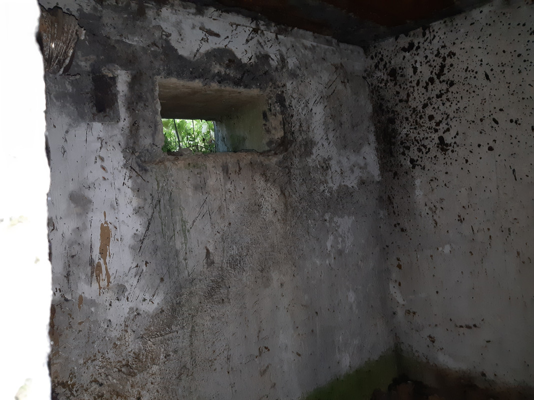 09.12d - 20220616_180620 (PiTT)