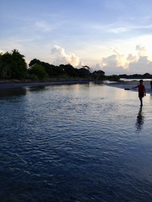 3-AB1-B85-E-A129-4842-B406-8310-A7-A38-D