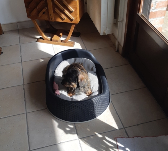 [Image: Resized-20230323-120857-1.jpg]