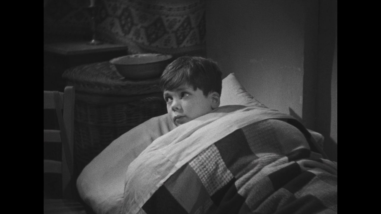 vlcsnap-2024-08-27-19h08m57s050