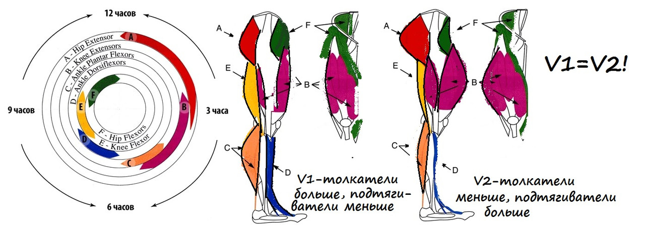 Krugove-Pedalyuvannya-2015 - копия