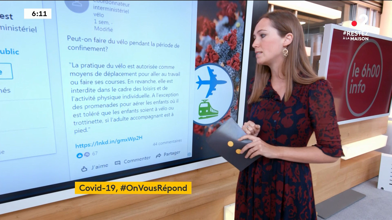 2020-04-09_06_00_Fr2_Le-6h-info.mp4_snapshot_16.20_[2020.04.19_22.50.26]