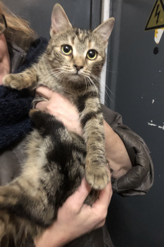 CC53BE59-2E22-41FA-A565-F9DDE4B52F7C