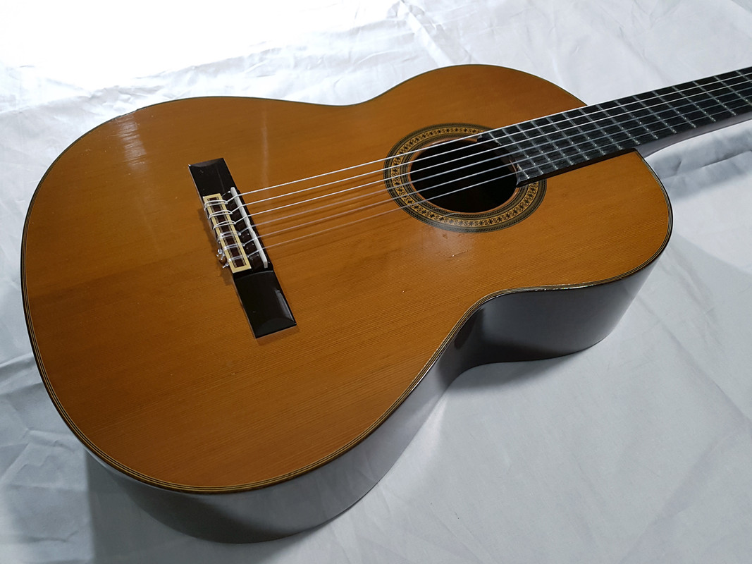 полутоп (7) 2