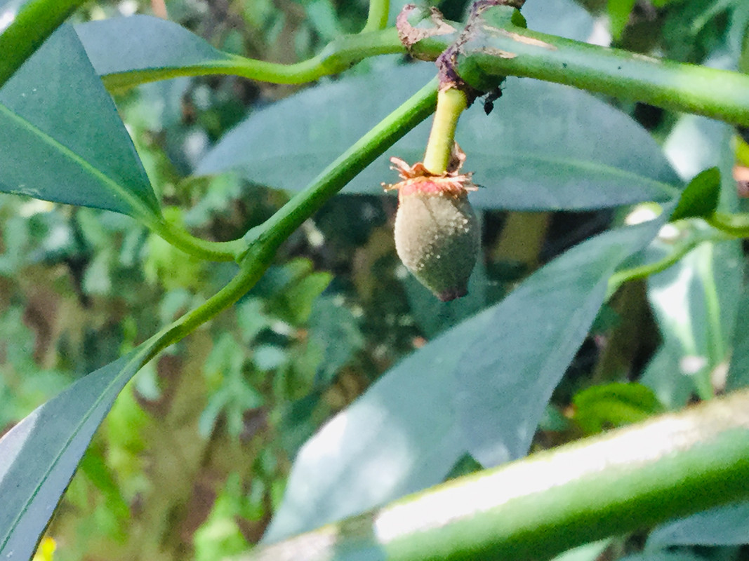 E7B8AF88-D360-4A25-AFDD-04C9B0114C95