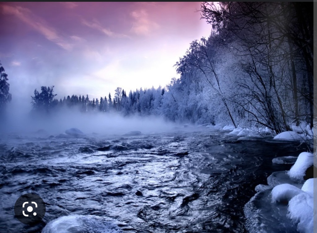 Screenshot_20221125-195140_Chrome