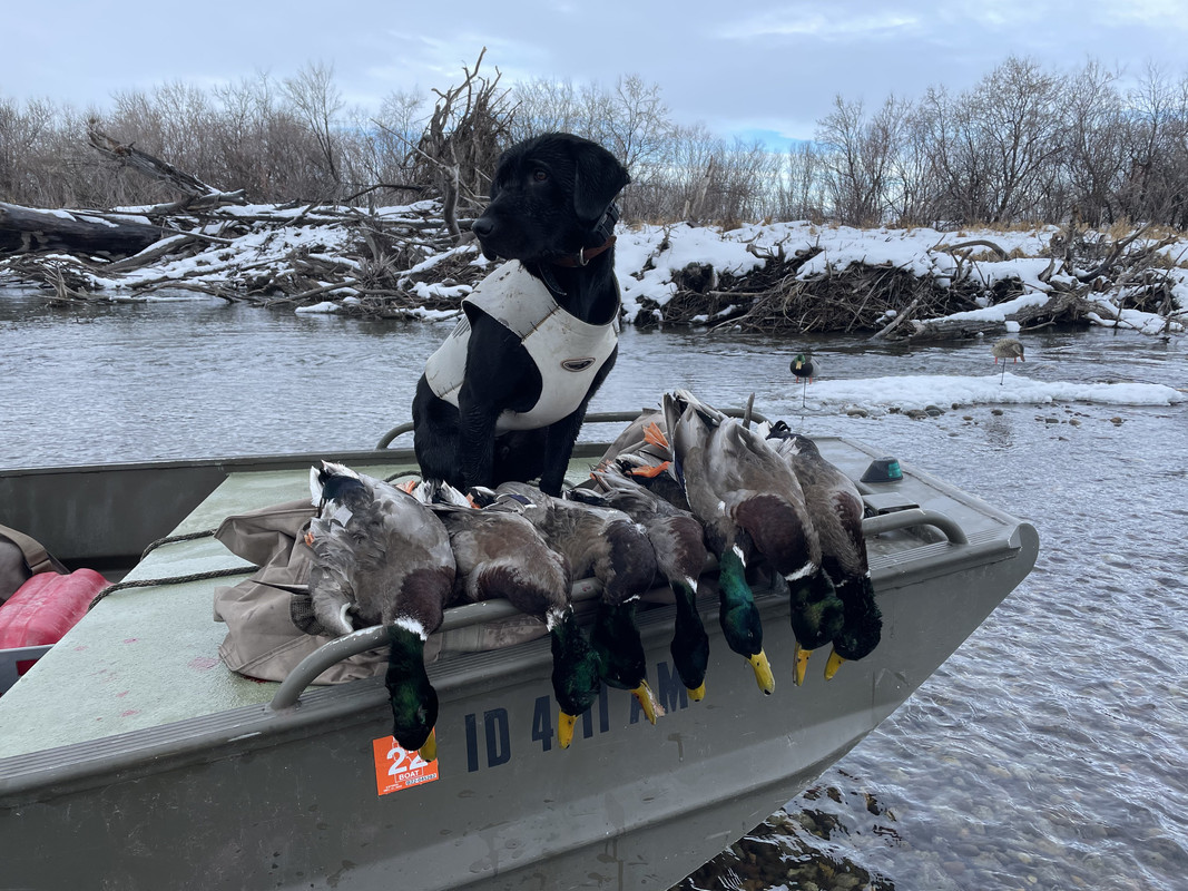 7B0171E0-26F2-4962-96D3-15ACFBCC624D