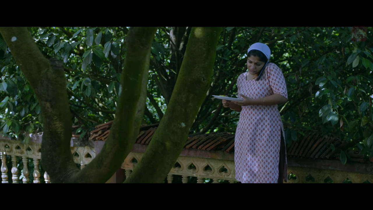 vlcsnap 2026 02 11 15h44m23s768