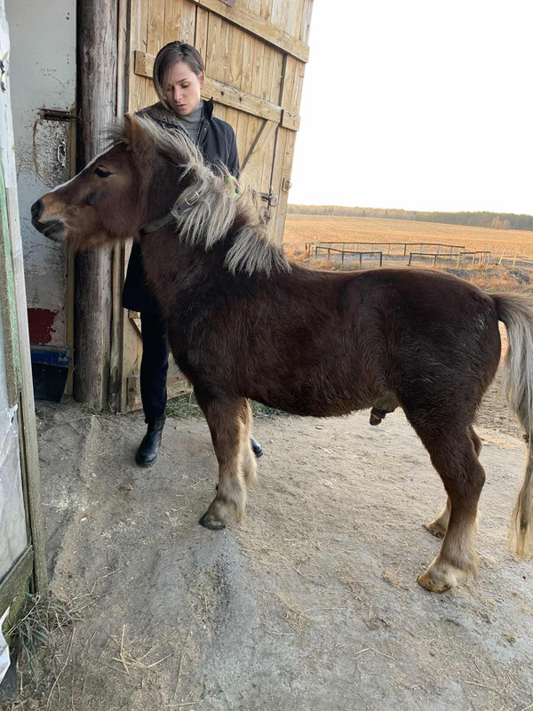 5A3EF274-A403-4DE2-862E-2E3CCAC27538