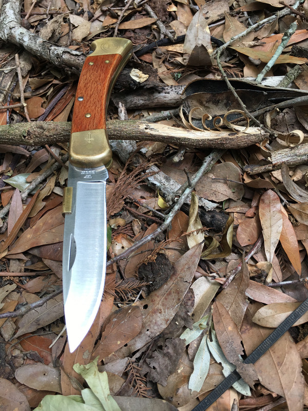 E58044C6-CF48-4EC0-A2B7-5A681006436B