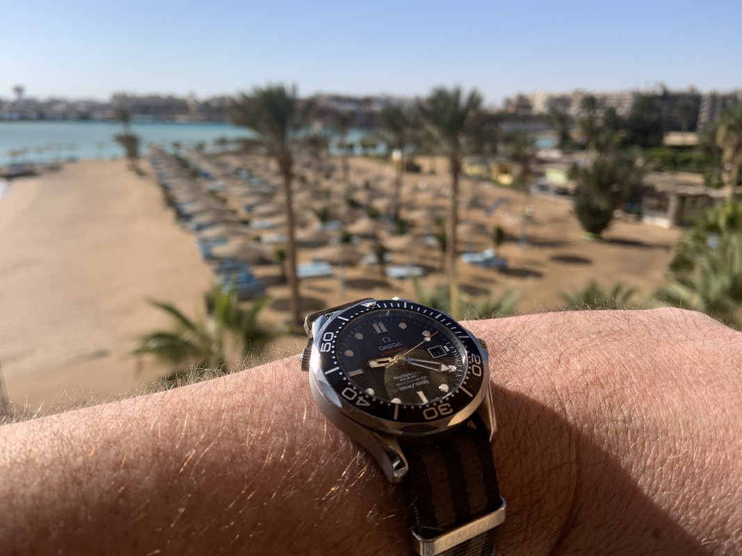 AD37A7D7-C091-469D-82C5-3B69842F5F0C