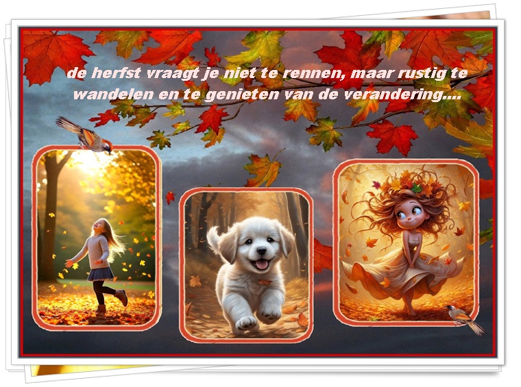 Klik op de afbeelding om de link te volgen