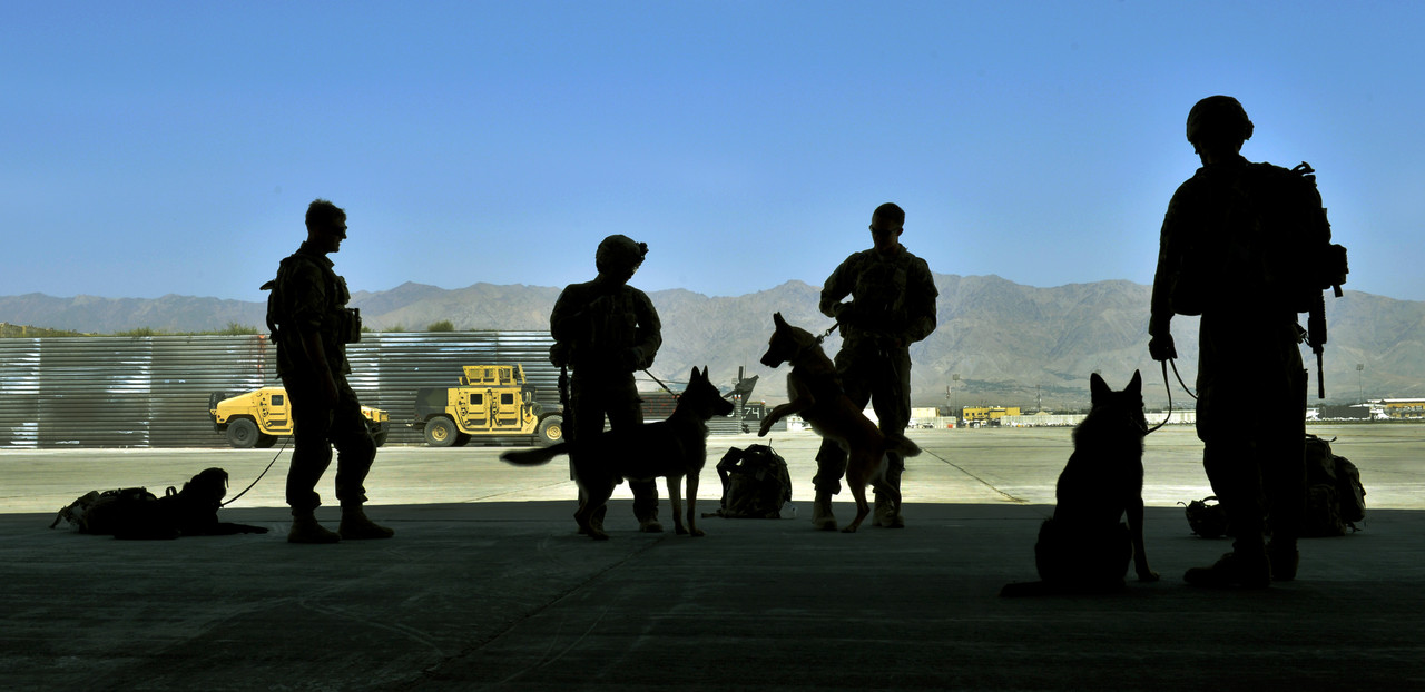 K9 Airman 1st Class Jason Fischman4