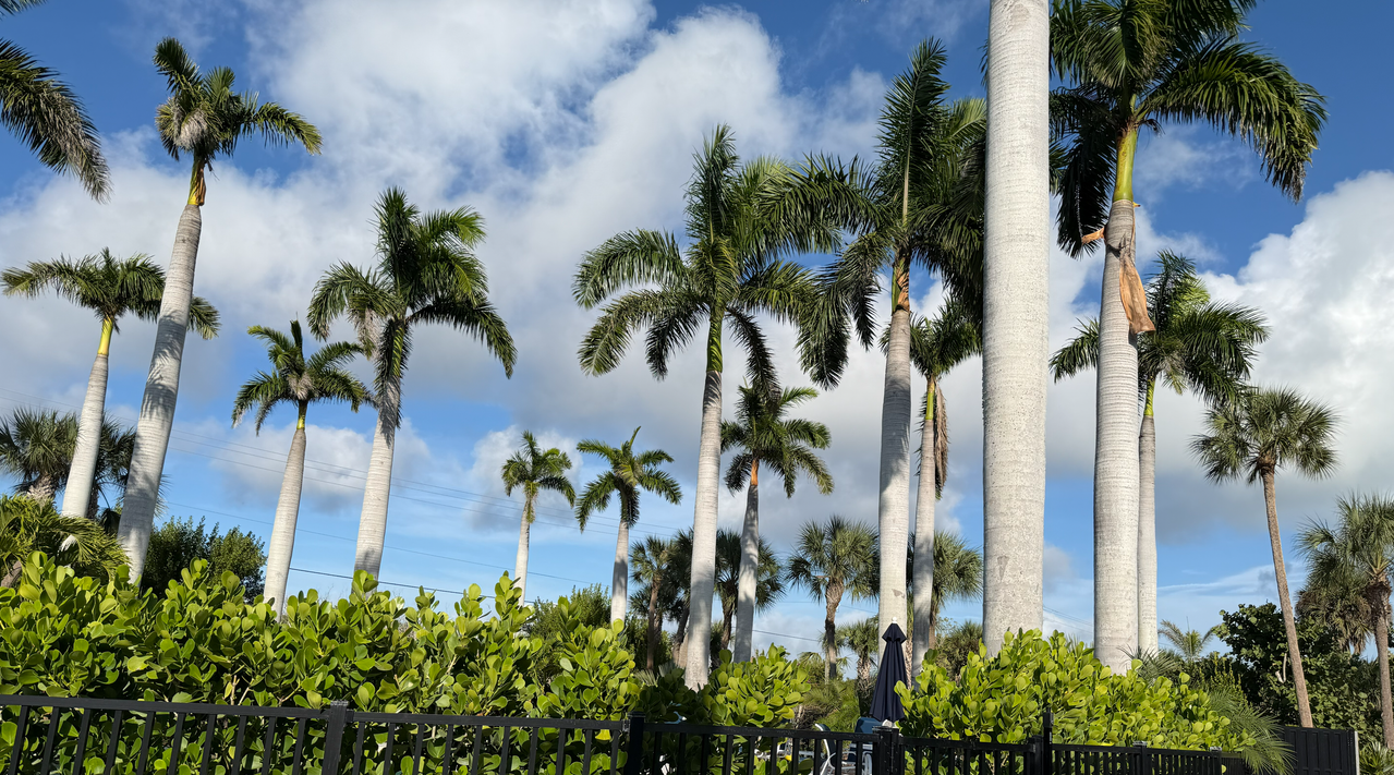 [Image: Sanibel-Island5.png]