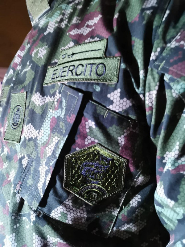 Proyecto Camaleón Bicentenario007