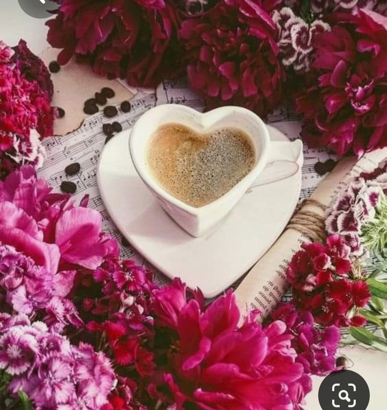 Screenshot_20230713_154800_Pinterest