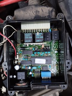 WhatsApp Image 2024-05-29 at 18.36.39 (1)