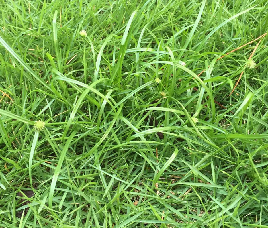 1C75FBEF-69A5-401E-B769-2A597CD898E5