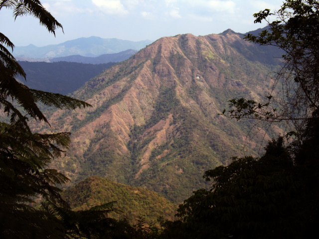 2012-02-Sierra Maestra Turquino Nationalpark Kuba 03 anagoria