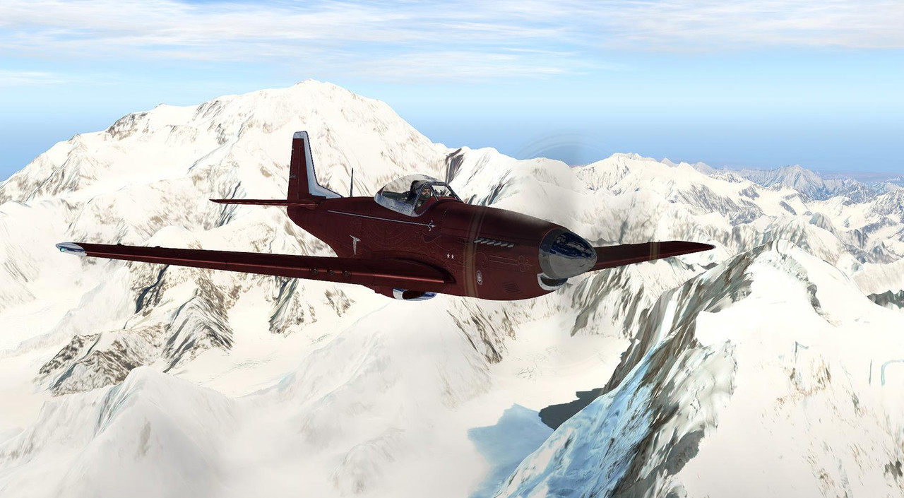 P-51D-38.jpg