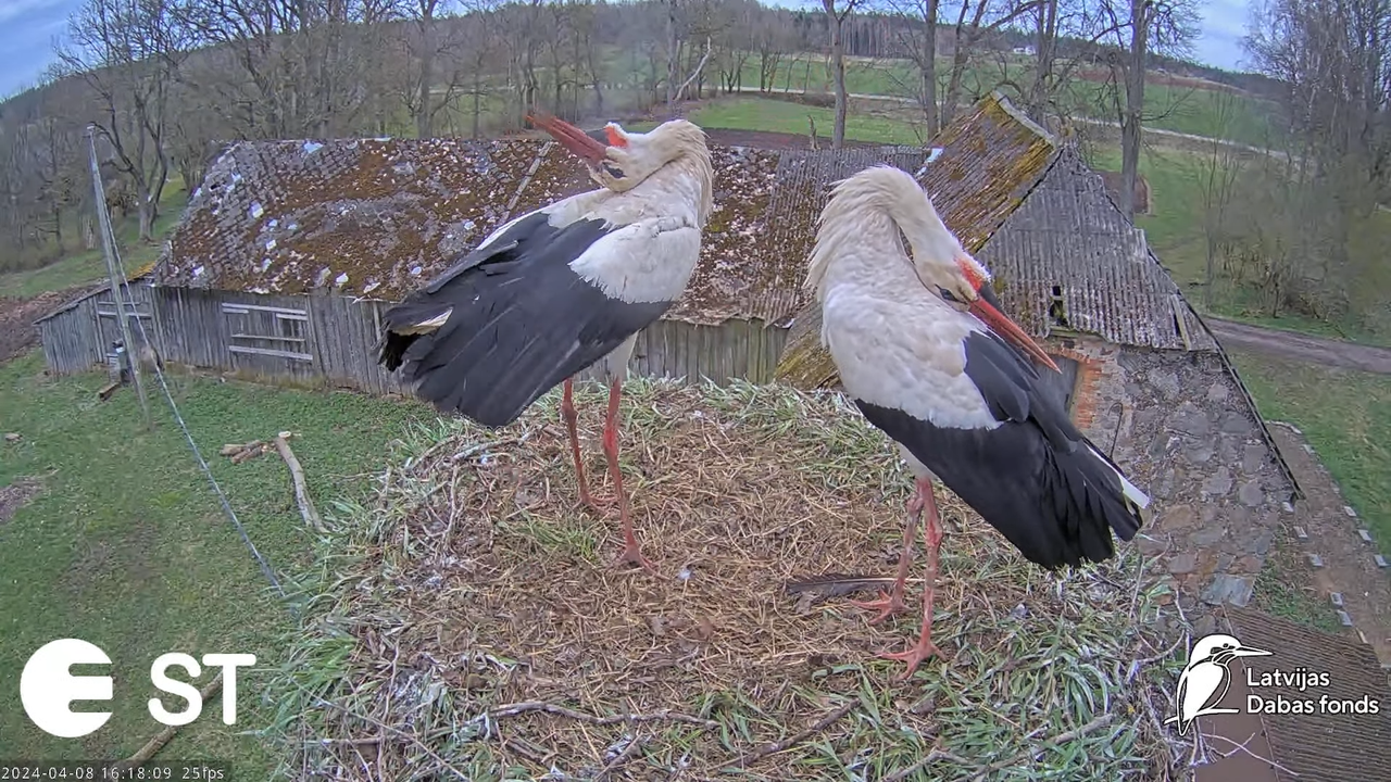 Ekrānuzņēmums 2024-04-08 191519