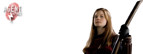 Hermiona Granger seks lesbijski