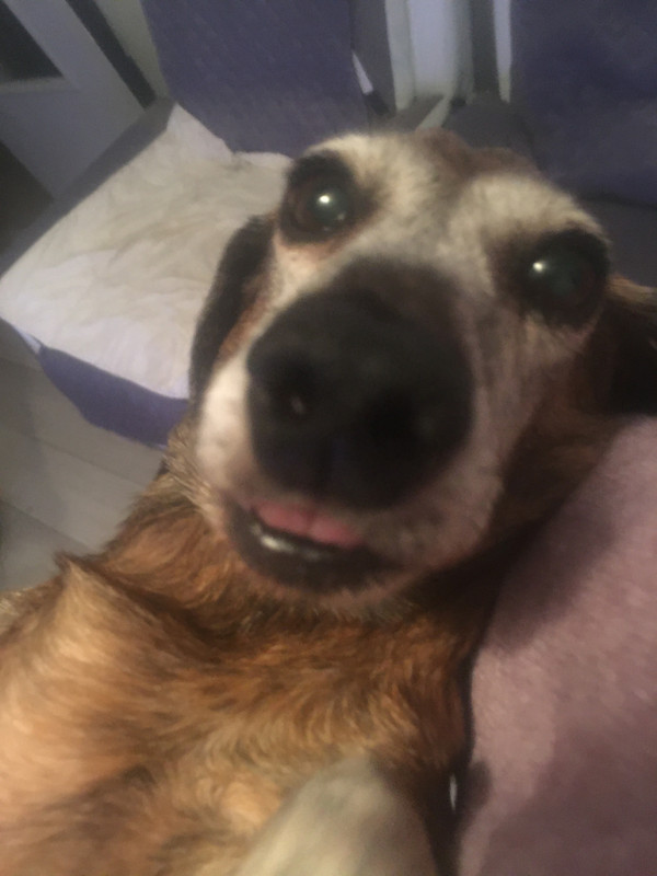 [Image: F6-B6-C393-8341-4318-BEE4-FF7162-BC76-F8.jpg]