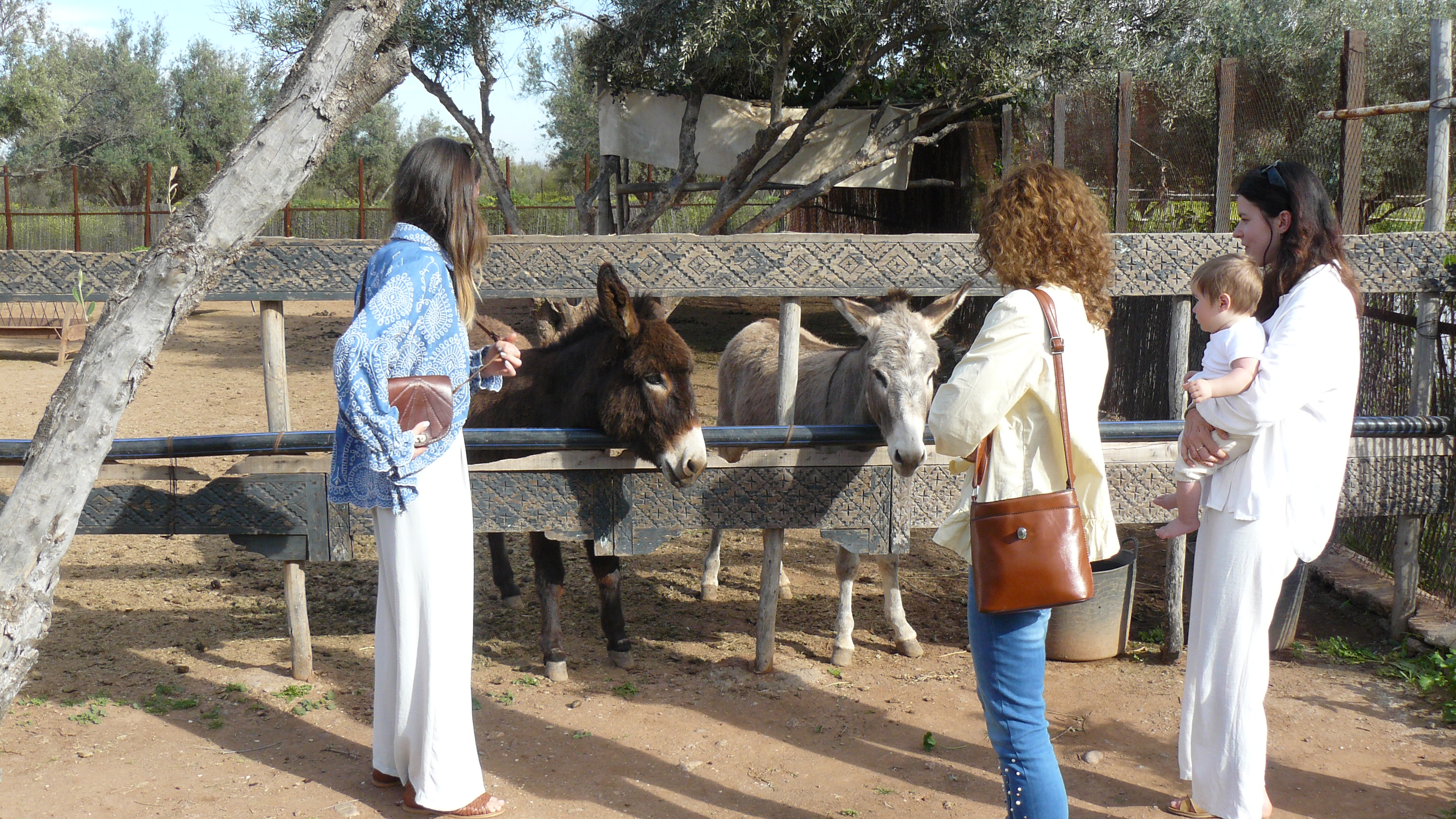 [Obrazek: P1120569.jpg]