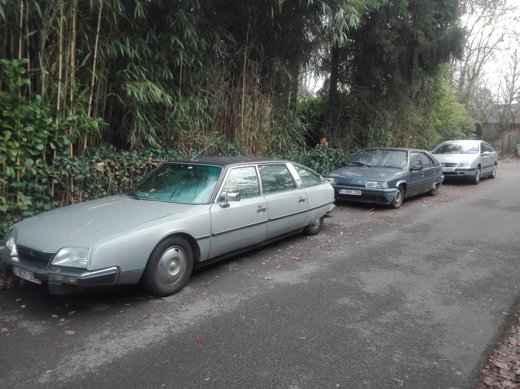 50035208_1414298652038286_5114159623980449792_n (1)