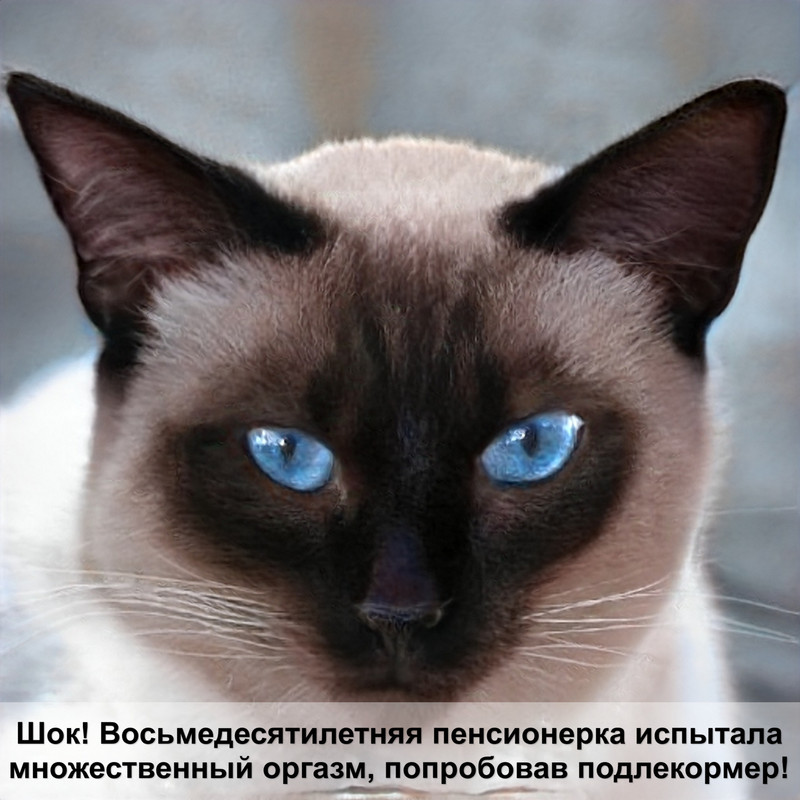 кошку рвет от шерсти