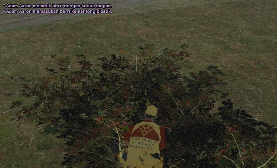 ck-14.png