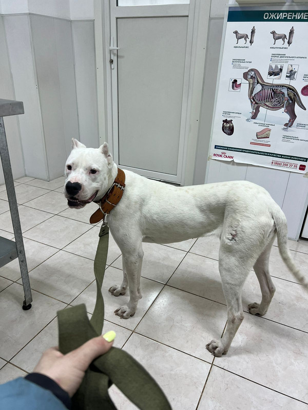 D9F20C19-39CD-443D-A31E-DEE66F652D62