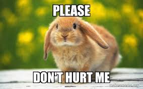 [Obrazek: images-7.jpg]