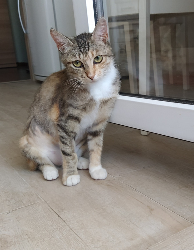 IMG_20210516_104710_2