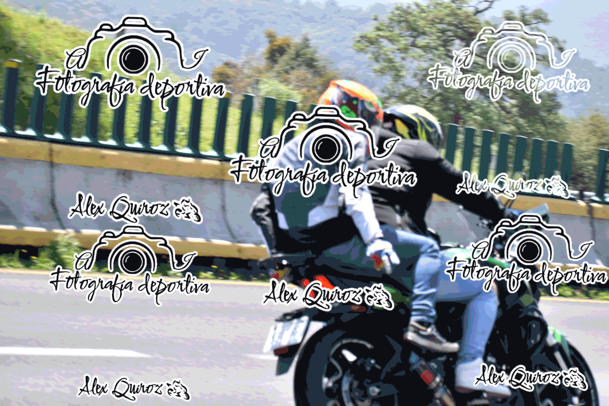 AVQ 6456 — Postimages