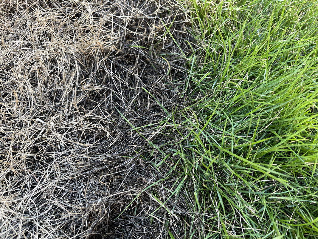 1A7398C3-76E2-4257-A468-FAAB8BAA78D7