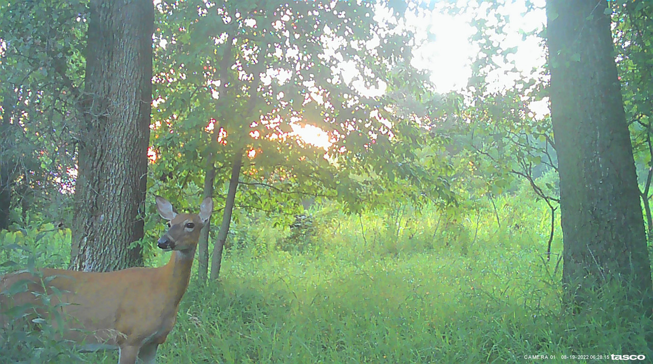 5E2AB4B4-7847-4B2B-A28C-B2E2FF64C26C