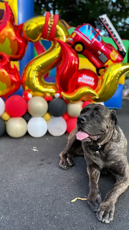 450384805_1952185515296598_7235498348581559301_n