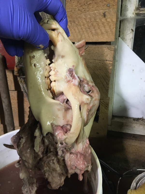 A99E15C8-2359-4A86-AB36-928E4954E8B5