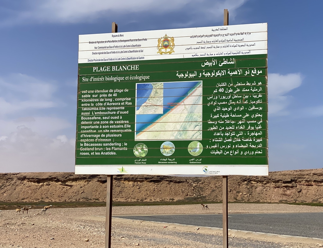 La Plage Blanche (Sidi Ifni) y Fort Boujeriff, Naturaleza-Marruecos (29)