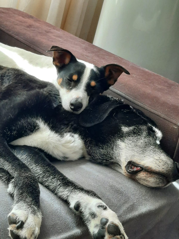 11FB9343-F47E-433B-8A8C-64292104E997