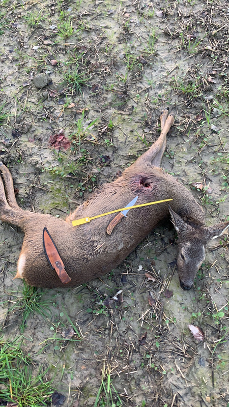 F5D9C550-BA5D-4A07-BDE1-1CD887B09ECA