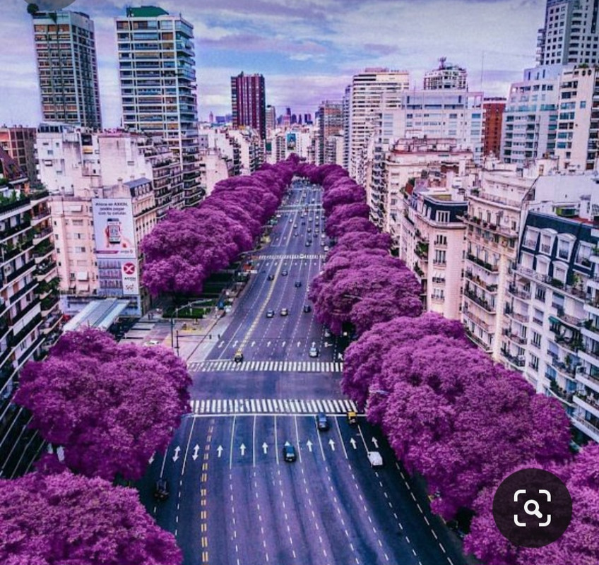 Screenshot_20240425_222734_Pinterest