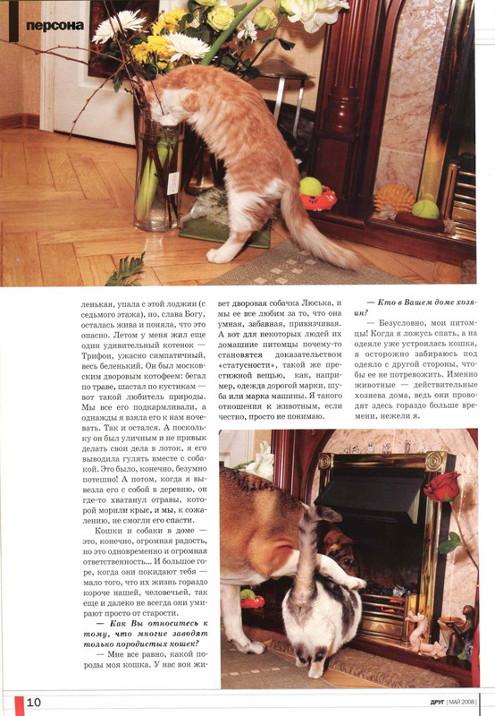 Друг кошек 2008-05-11