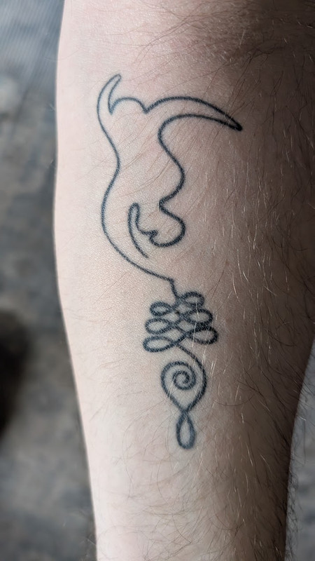 PXL 20260327 153448543