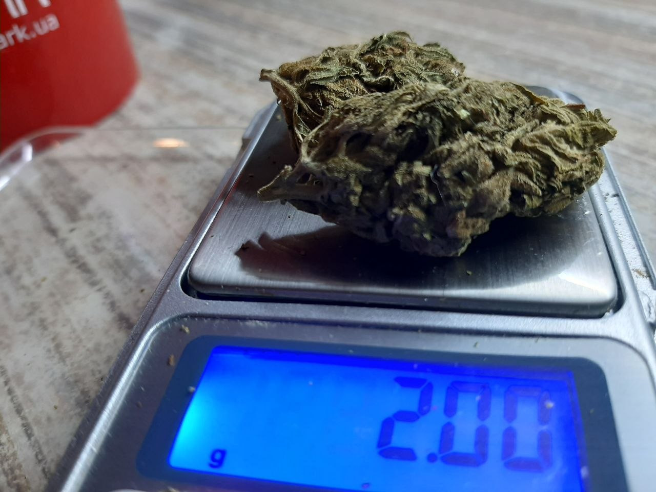 photo 2026 03 25 18 29 29