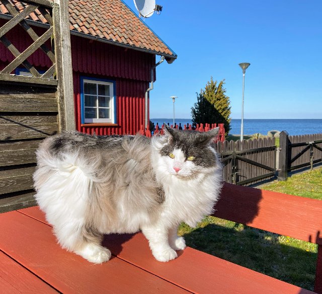 AB08-F856-E809-4140-9160-35-D89-D97821-B